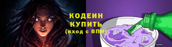 ECSTASY Кукмор