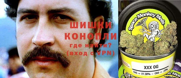 ECSTASY Кукмор