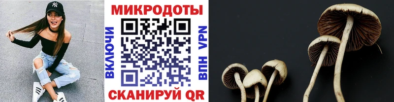 Псилоцибиновые грибы MAGIC MUSHROOMS  хочу   Арзамас 